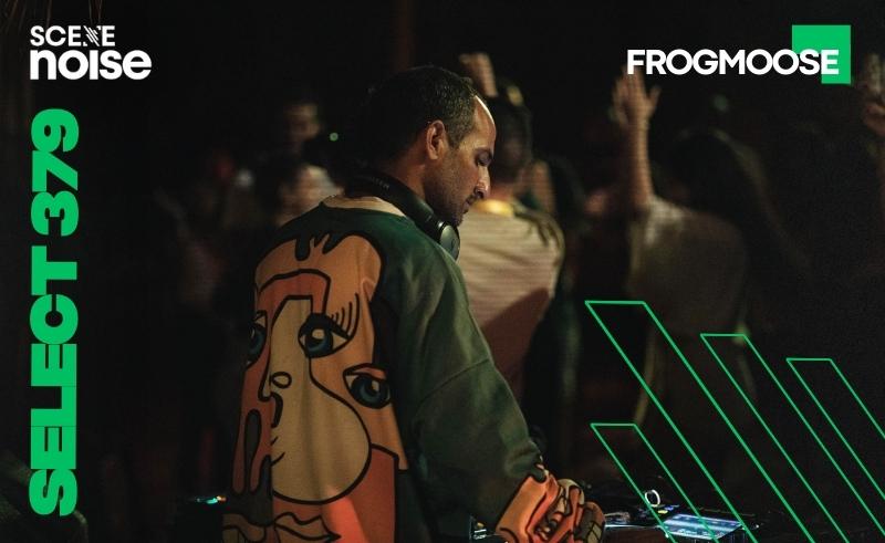 Select 379: Mixed by FrogMoose