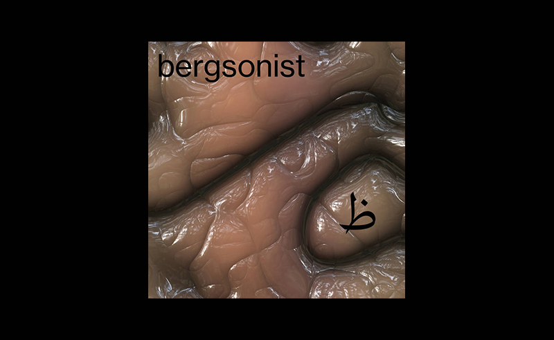 Bergsonist 