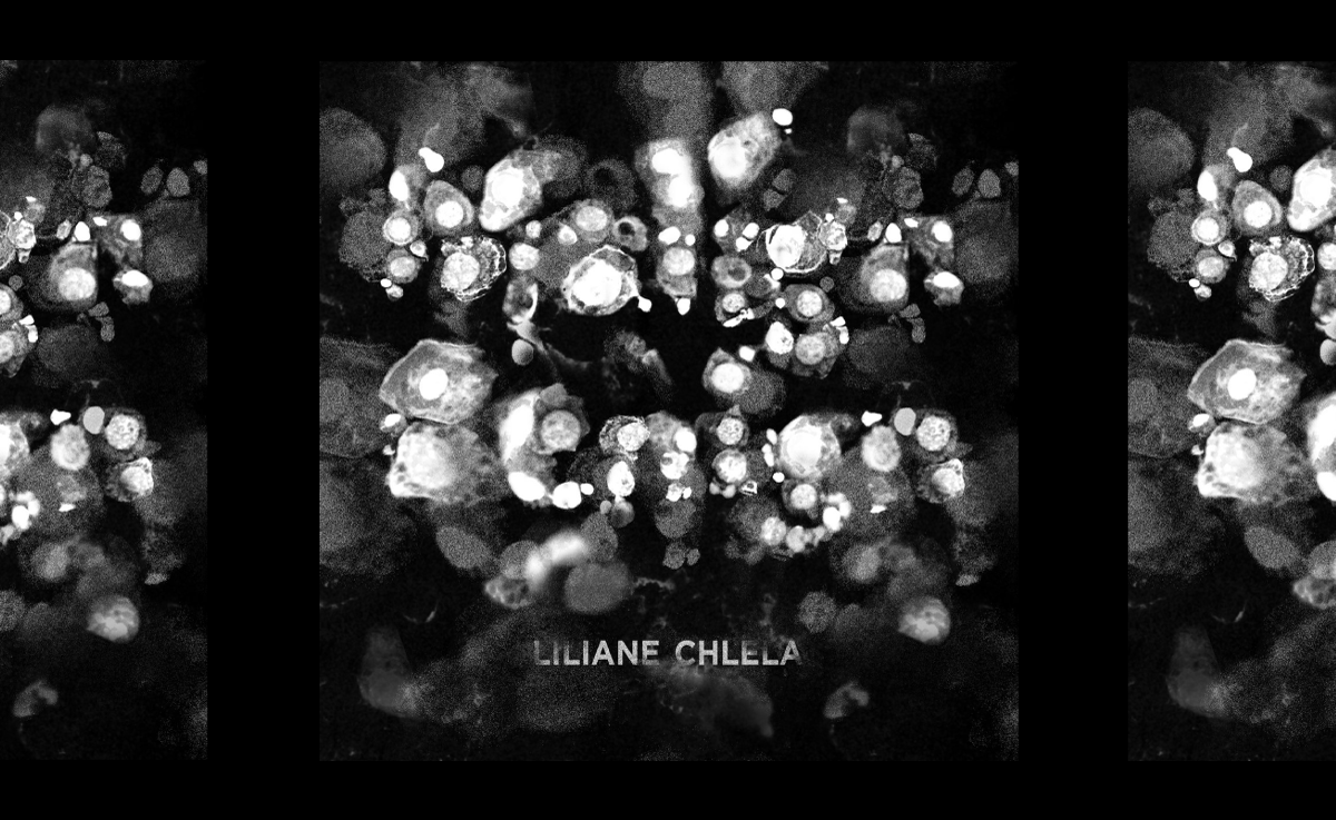 Lebanese Producer Liliane Chlela's New EP ‘Malign/Benign’ is Ahead of its Time, Literally